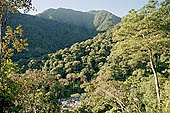 The cloud forest near the Cock of the Rock leks in the Manu reserve 